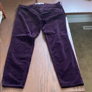 Size 14- Velvet Old Navy rockstar pants